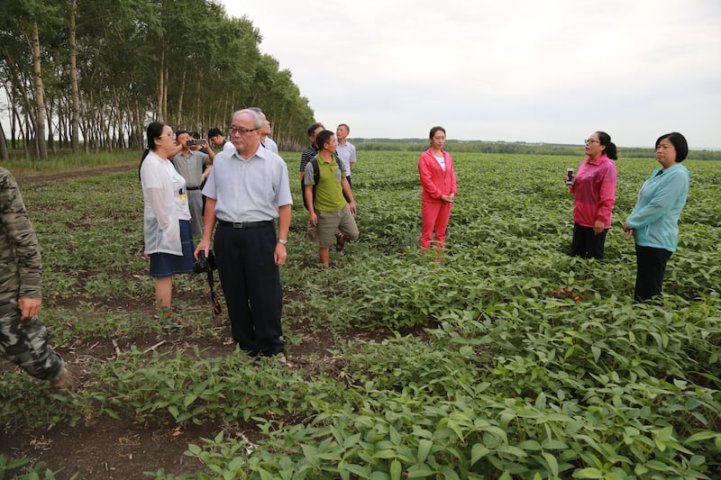 台湾土壤专家陈尊贤(左二,手持相机)考察东北试验田,分享土壤有机碳提升技术。
