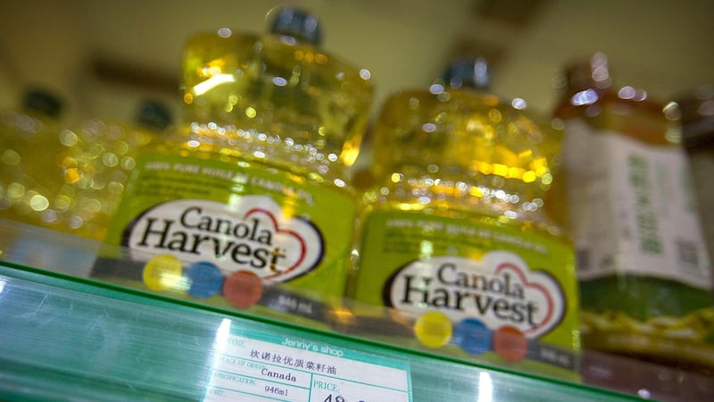 2019年3月1日,发生第一家加拿大油菜籽出口商理查森公司(Richardson International Ltd) 被以品质不佳为由,遭中国禁止进口后,中国当局对加拿大油菜籽产品下了全面禁令。图为加拿大菜籽油。(资料图/美联社)