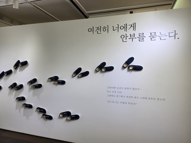 코이작품_신발50벌.jpg