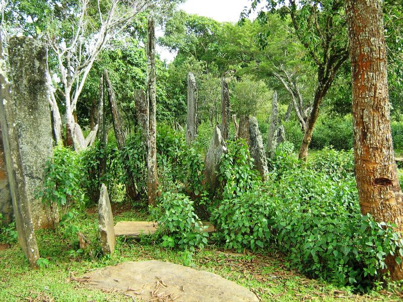 ຈົດໝາຍຈາກຜູ້ຟັງ: ປີ 2023, ລາວ ສູນເສຍເນື້ອທີ່ປ່າໄມ້ 135,000 ເຮັກຕາ, ຈີນ ຈະປູກໝາກພຸກ ທີ່ແຂວງອຸດົມໄຊ